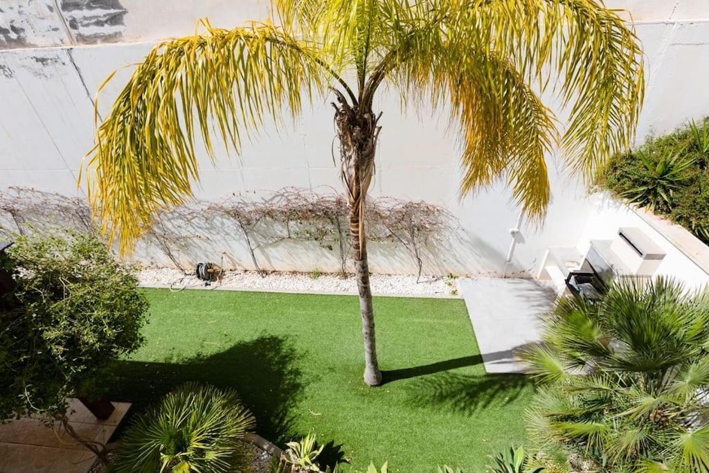 Villa Joya II San José Extérieur photo